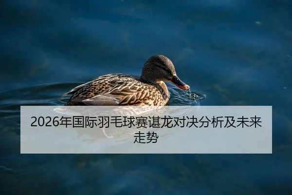 nian-guo-ji-yu-mao-qiu-sai-chen-long-dui-jue-fen-xi-ji-wei-lai-zou-shi-2-486.jpg